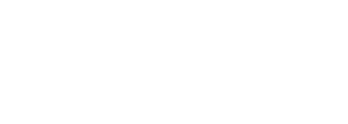 Blessed Mary Institute